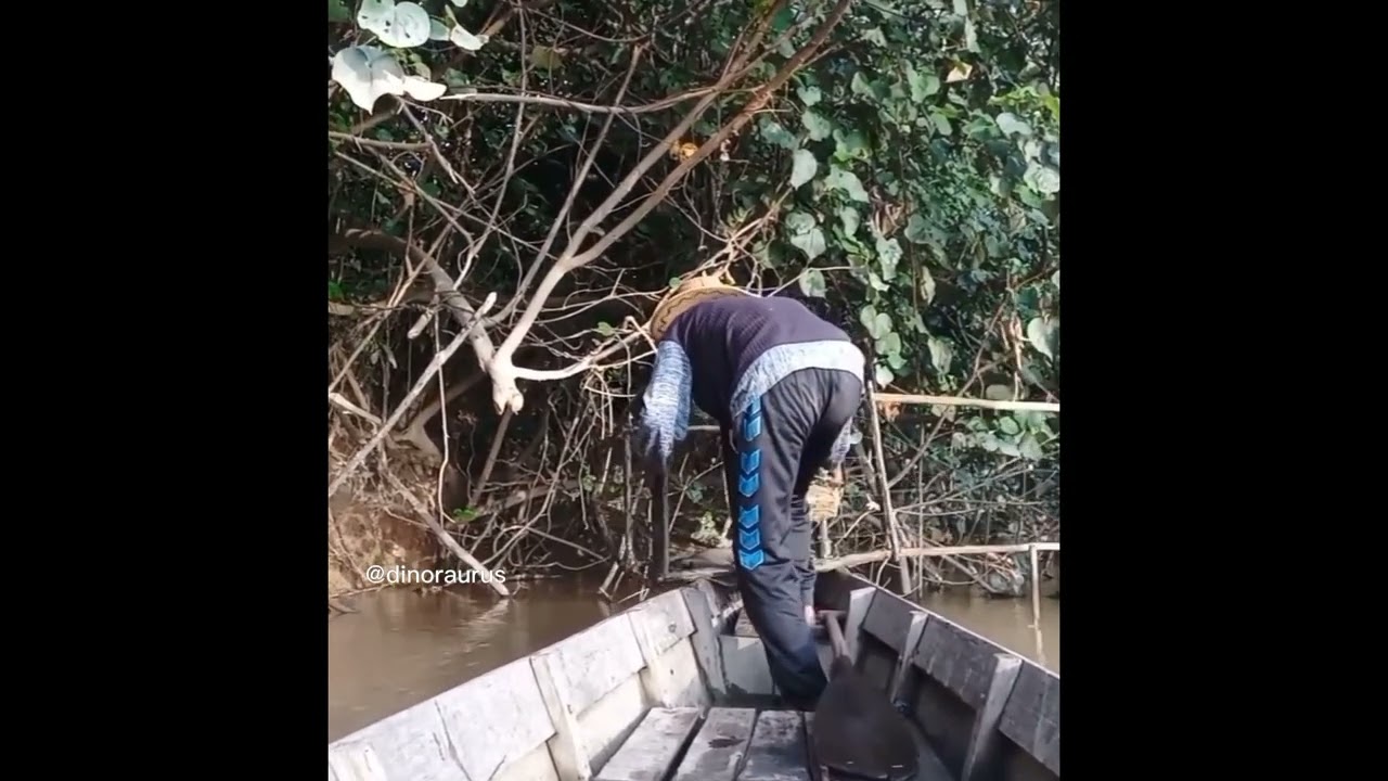&ldquo;Unbelievable! Traditional Fish Trap Still Works Like Magic&rdquo;@Dinoraurus-rus
