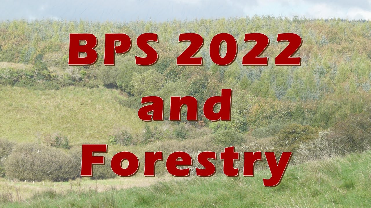 Basic Payment Scheme and Forestry 2022