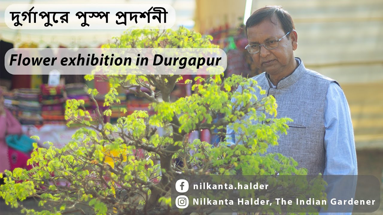 দুর্গাপুরে হর্টিকালটার সোসাইটি আয়োজিত পুস্প প্রদর্শনী || Flower exhibition in Durgapur ||