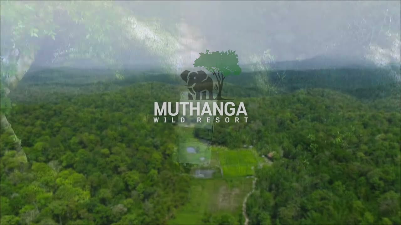 Best swimming pool resort in Muthanga, Wayanad - Muthanga Wild Resort