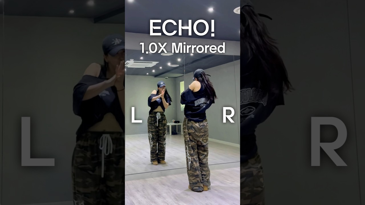 [#WSWF ]호시X우지 - ECHO! mirrored 거울모드 #에코챌린지 #echochallenge #riehata #월드오브스우파 #hosi #woozi
