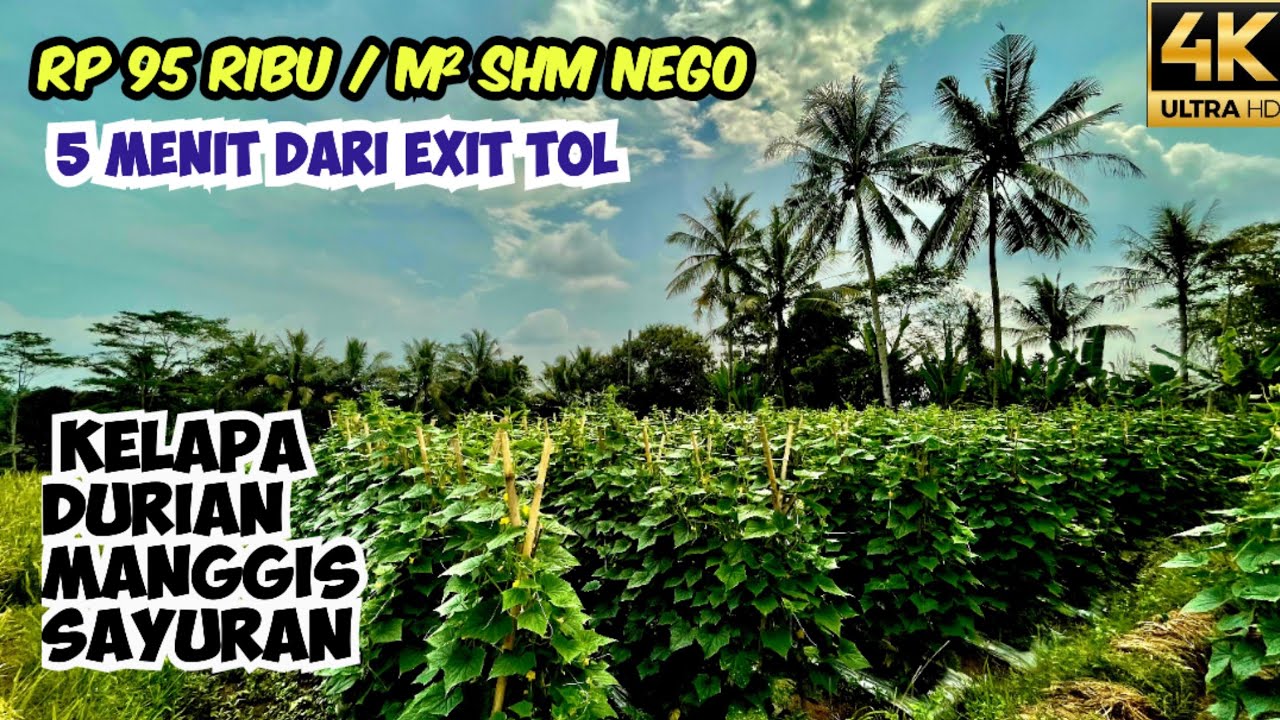 Jual Tanah Ladang dan Kebun Dekat Exit Tol Darangdan Purwakarta Luas 3416 m2 SHM Ada Air Mengalir