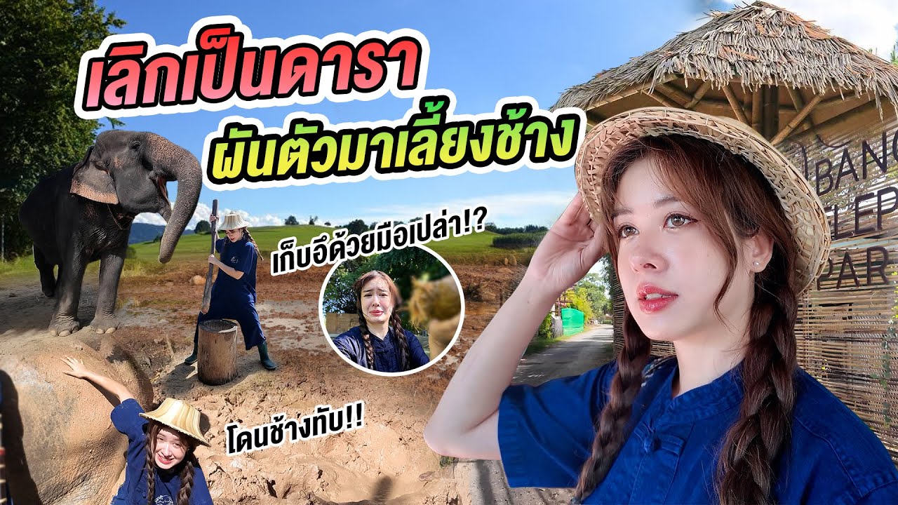 หนีกรุงเทพ ใช้ชีวิตในป่ากับช้าง 1 วัน เดินป่าไผ่หาหน่อไม้กิน working as elephant keeper