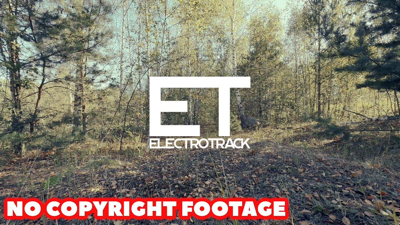 Nature Vibes | No copyright Landscape Background video