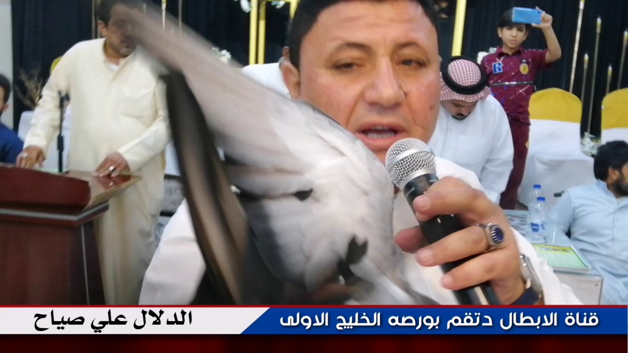 قناة الابطال تقدم لكم بورصه الخليج العربي #للحمام القلابي