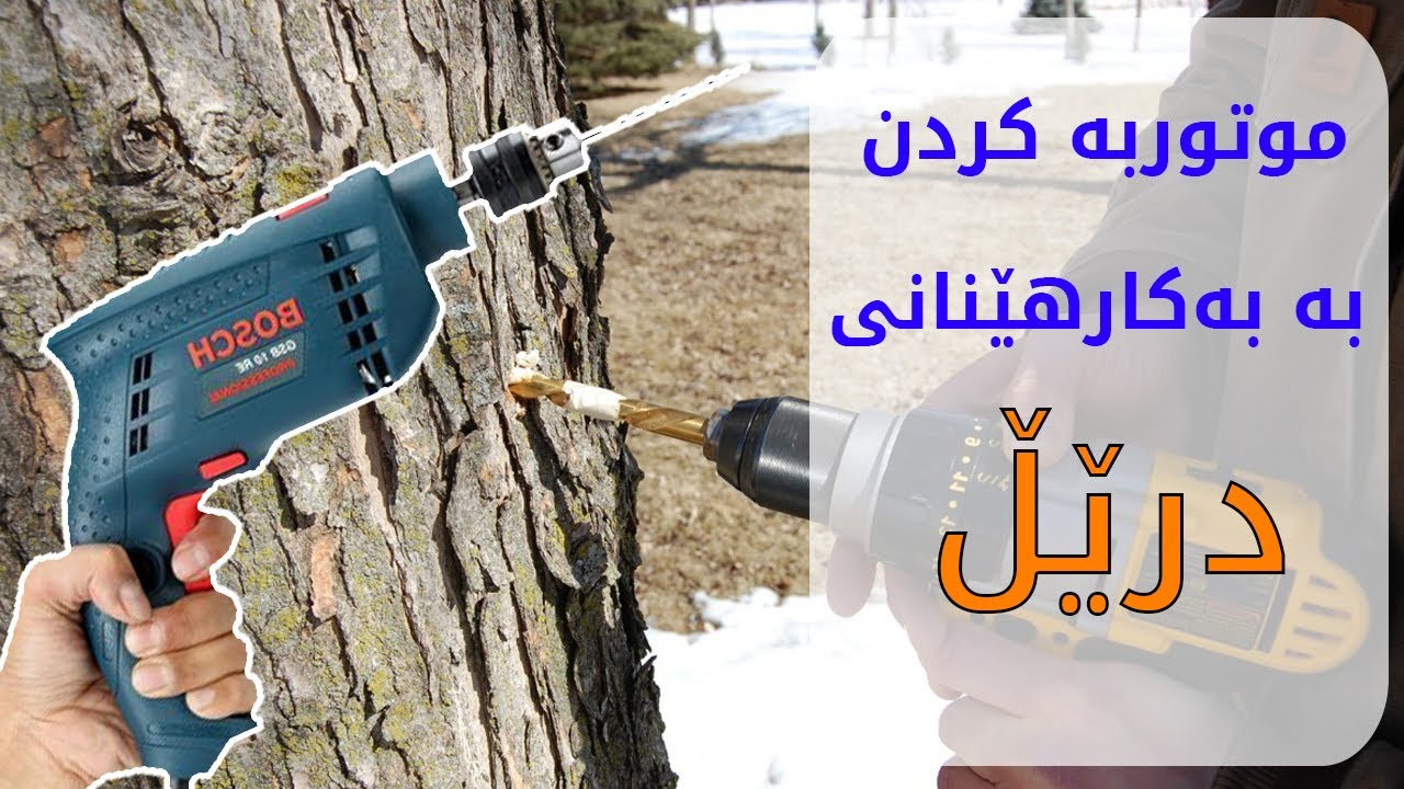 موتوربە بە بەکارهێنانی ئامێری درێڵ  Drill grafting