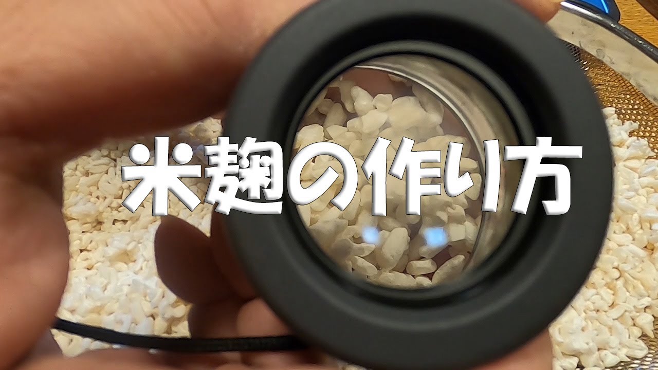 おうちで米麹を作る方法
