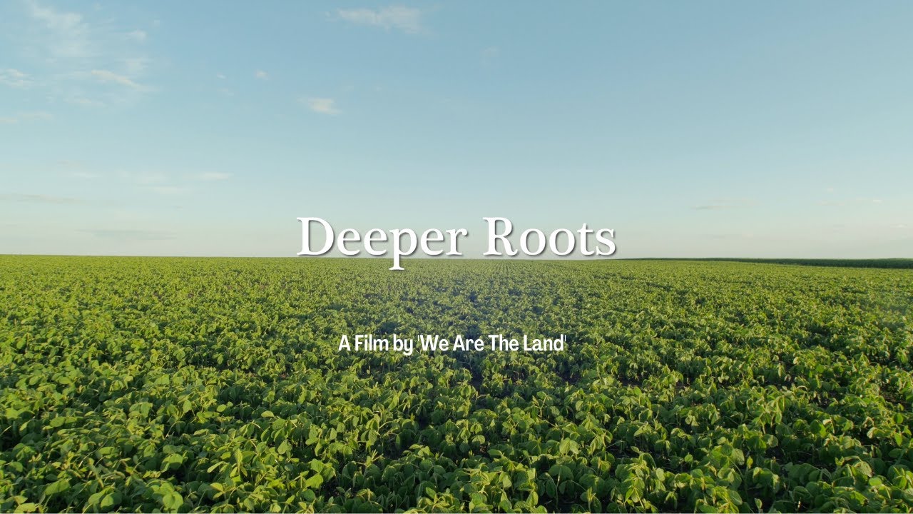Deeper Roots - The Many Benefits Of Local Food Systems