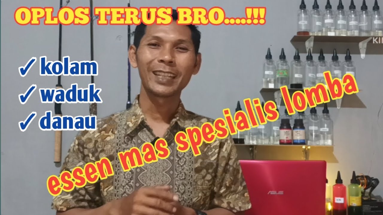 Essen mas paling gacor untuk lomba #mancingharianikanmas #galapungikanmas