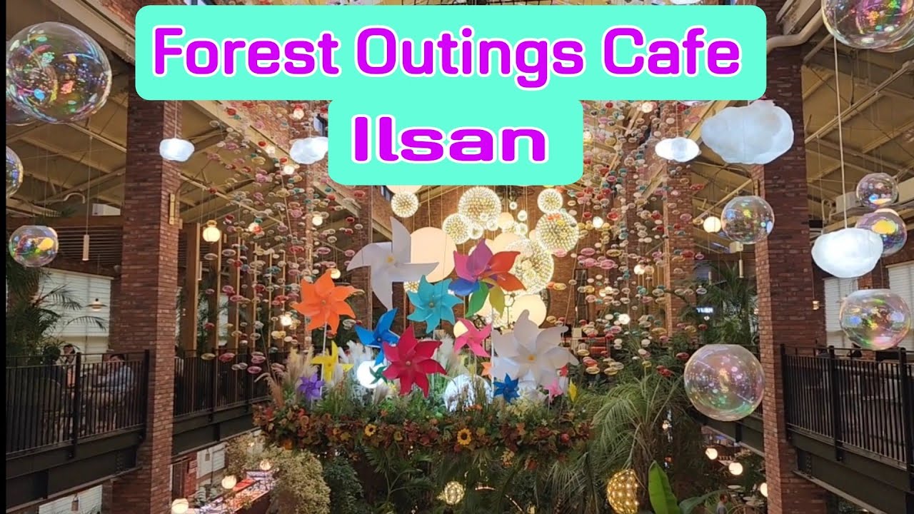 FOREST OUTINGS//Beautiful & Huge CAFE in Ilsan, Goyangsi Korea @jllifestyle