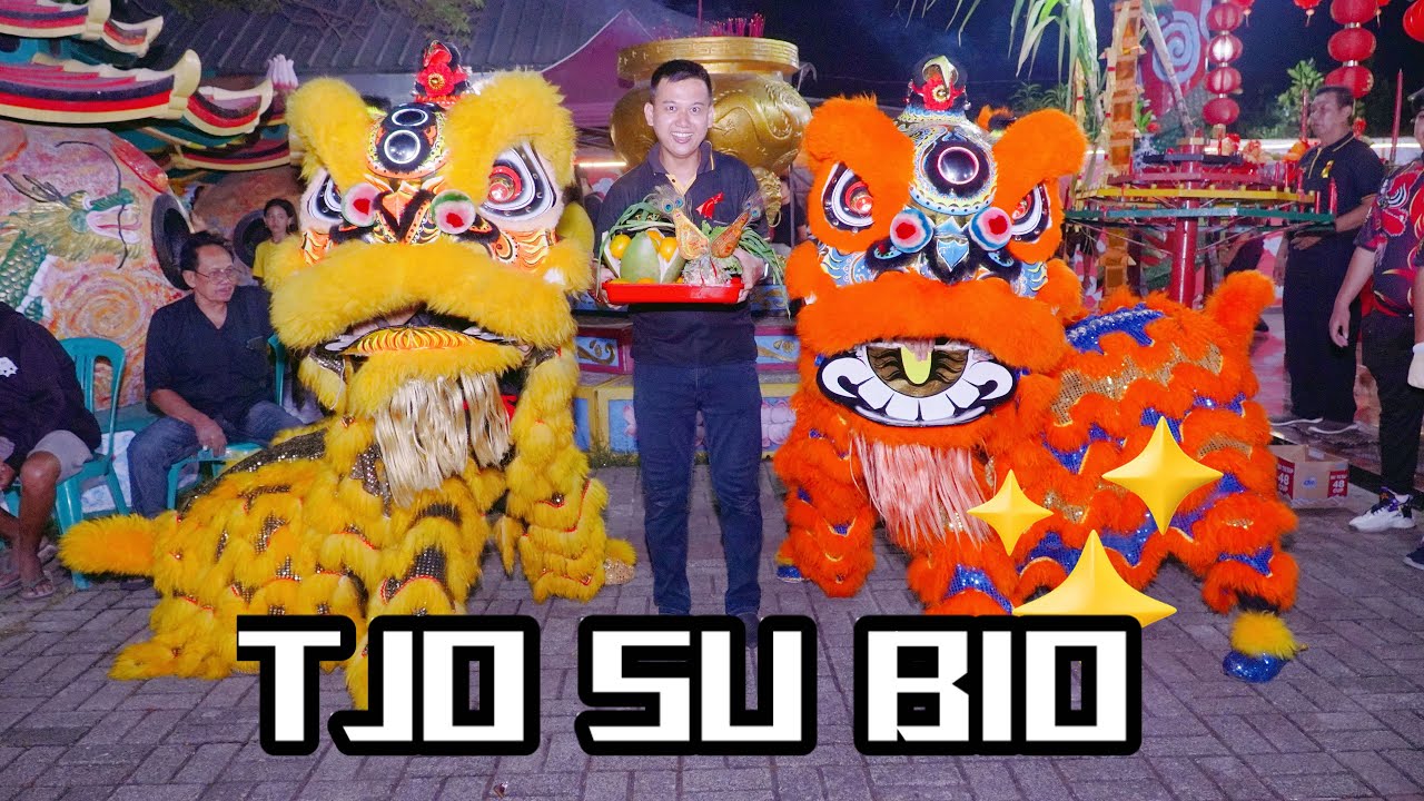 PENAMPILAN BARONGSAI ADAT “BURUNG HONG” TJO SU BIO | SEJIET TJO SU BIO KE 76 TAHUN