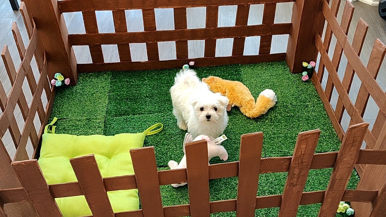 How to Make Cardboard Puppy Dog Playpen