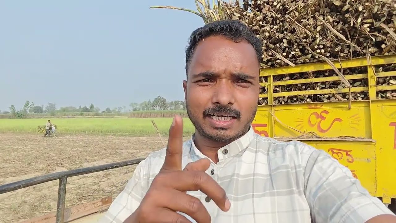 Aaj ganne ki trolley bharne aa gaye khet #agriculture #newvideo 