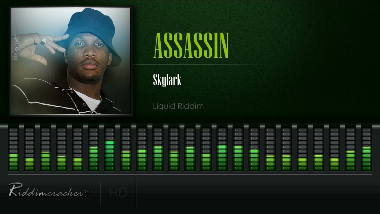 Assassin - Skylark (Liquid Riddim) [HD]