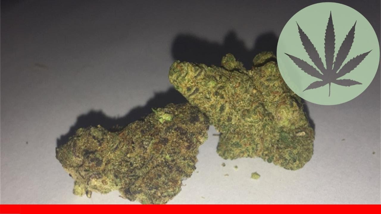 Purple Og Kush - All About This Strain