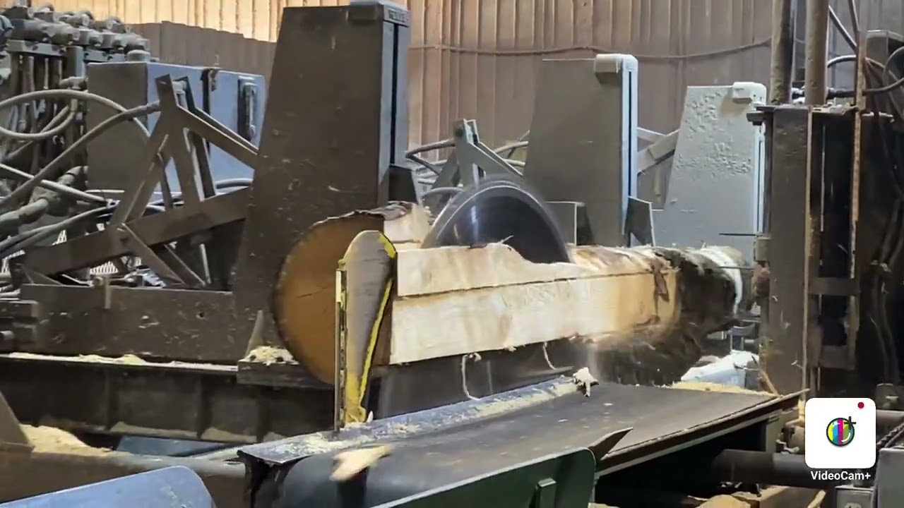 Circular #sawmill  with Vertical Edgers #share #like #subscribe