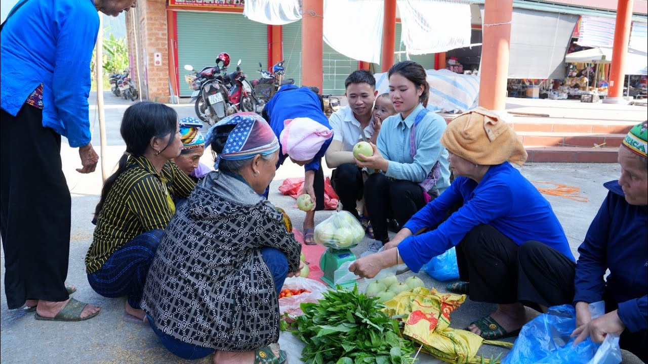 A Beautiful Day With CEO Hung Harvesting Melons & Cantaloupes To Sell At The Market.