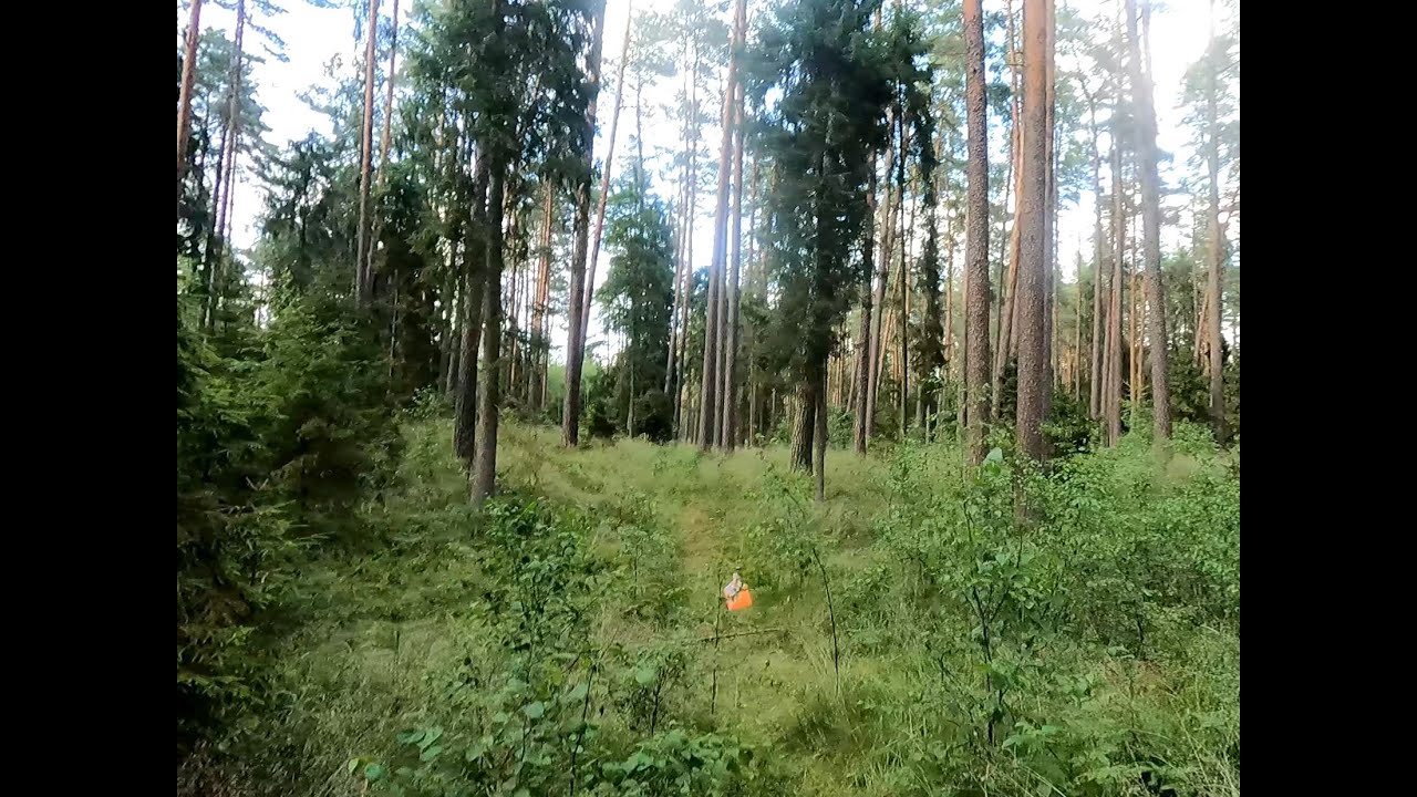 Mazury Cup 2025 e1