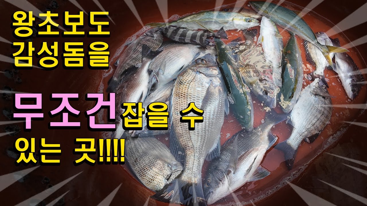 찌맛으로 대리만족 못시켜드린다면 싫어요 누르십시요(장담)