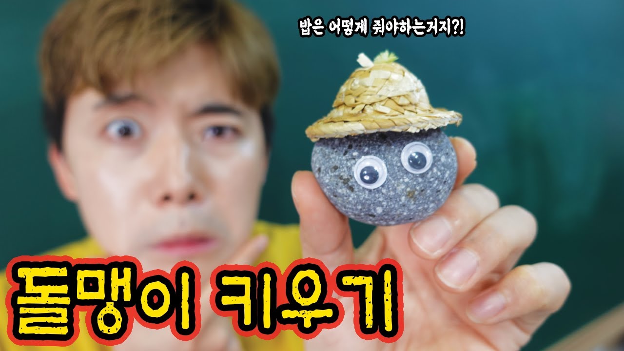 작은 돌멩이를 개당 1만원에 판다고?! 오늘부터 반려돌을 키워봅시다?!