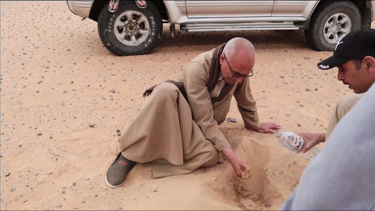 استلم ارض زراعية باسم شركتك من محافظة الوادى الجديد