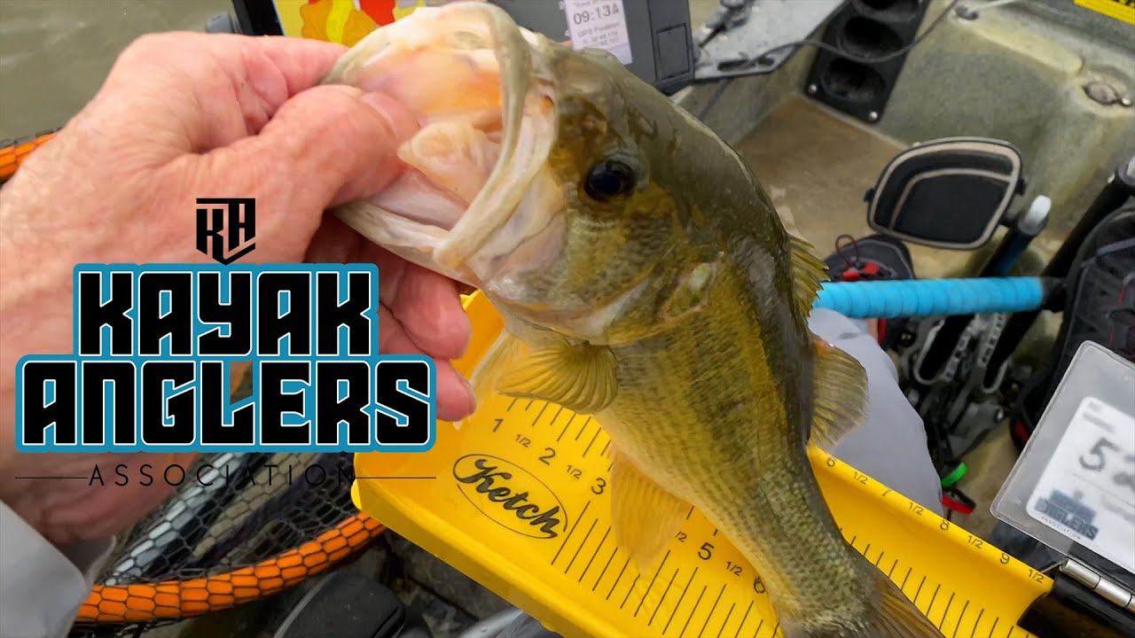 Catching Largemouth Bass with a Persuader Spinnerbait #kayakanglersassociation