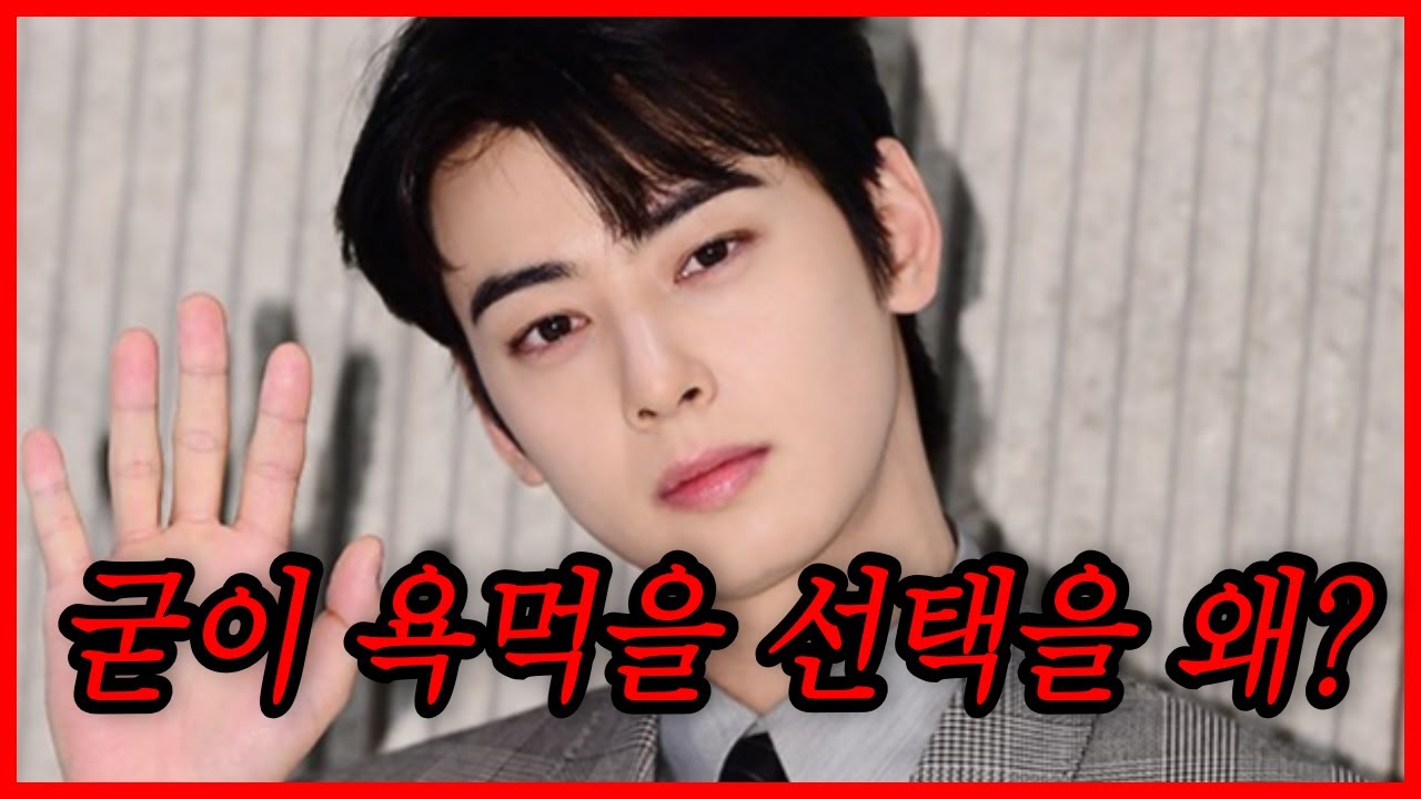 차은우 탈세 논란을 바라보는 내면 내시경