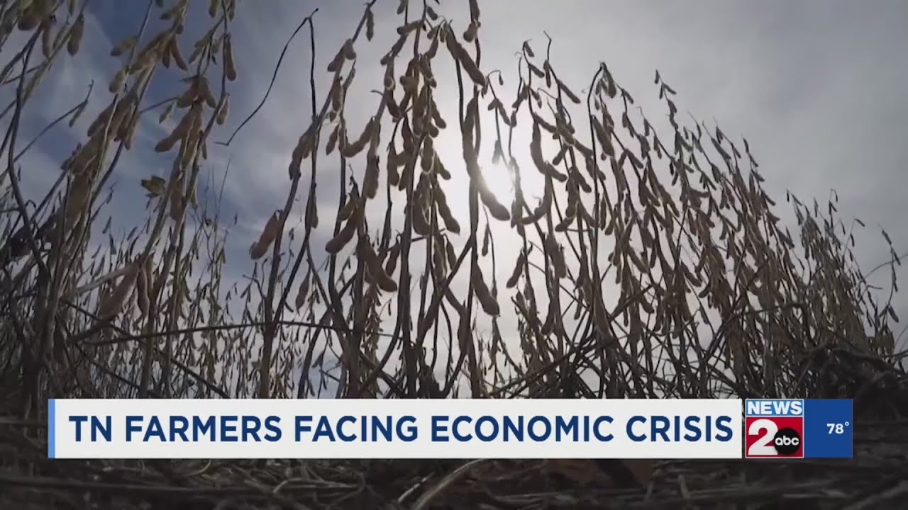 Tennessee farmers facing economic crisis