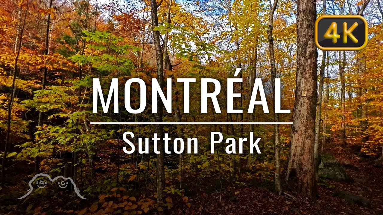 🌊 Walking Pekan Falls Trail in Sutton Park &bull; Canada Trail Walking Tour 🇨🇦 &bull; 4K ASMR