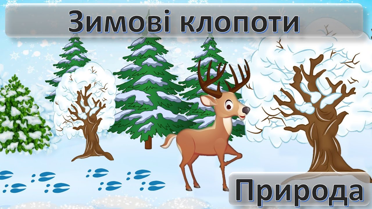 Зимові клопоти Природа