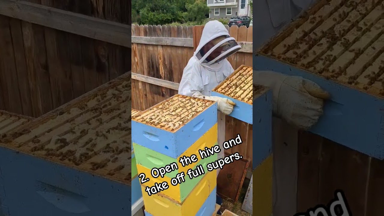 How to add those empty honey supers #honey #bee #beekeeping #beekeeper #backyardbees