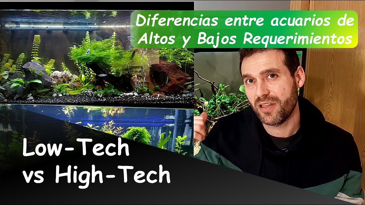 Diferencias entre Acuarios de ALTOS Y BAJOS REQUERIMIENTOS (Acuarios Low-Tech Vs High-Tech)