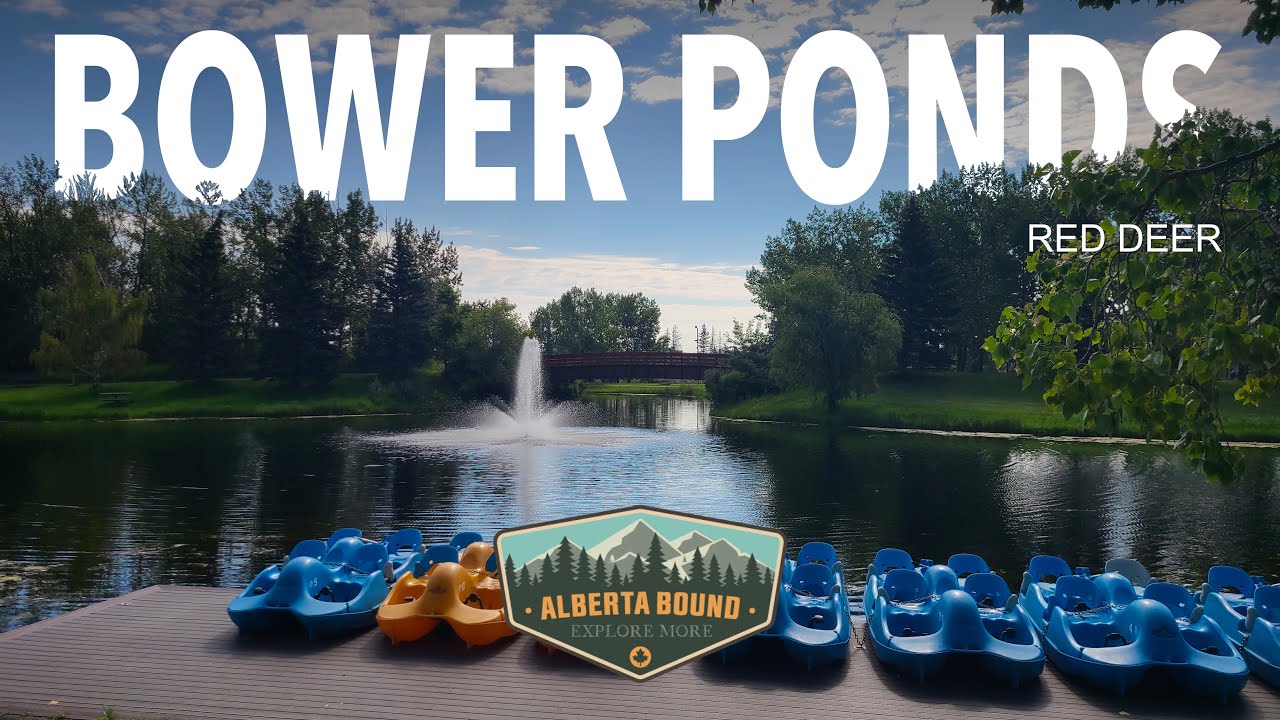 Bower Ponds - Red Deer