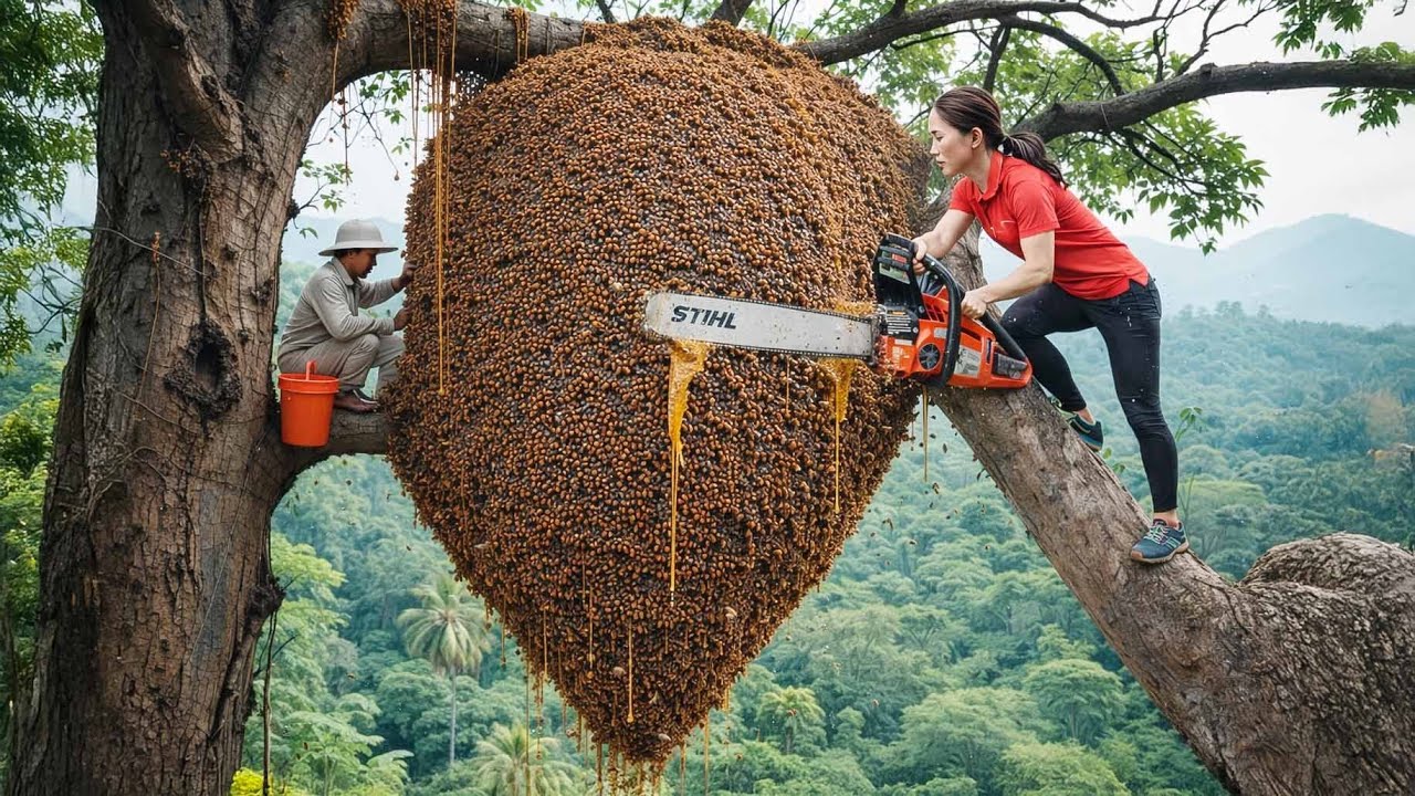 Unbelievable Wild Honey Harvest at 2000m 😱 | Facing Death & Aggressive Bee Attacks in the Mountains