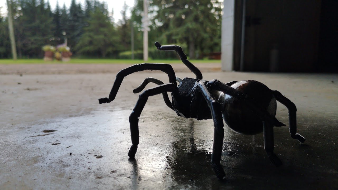 Welding a tarantula sculpture