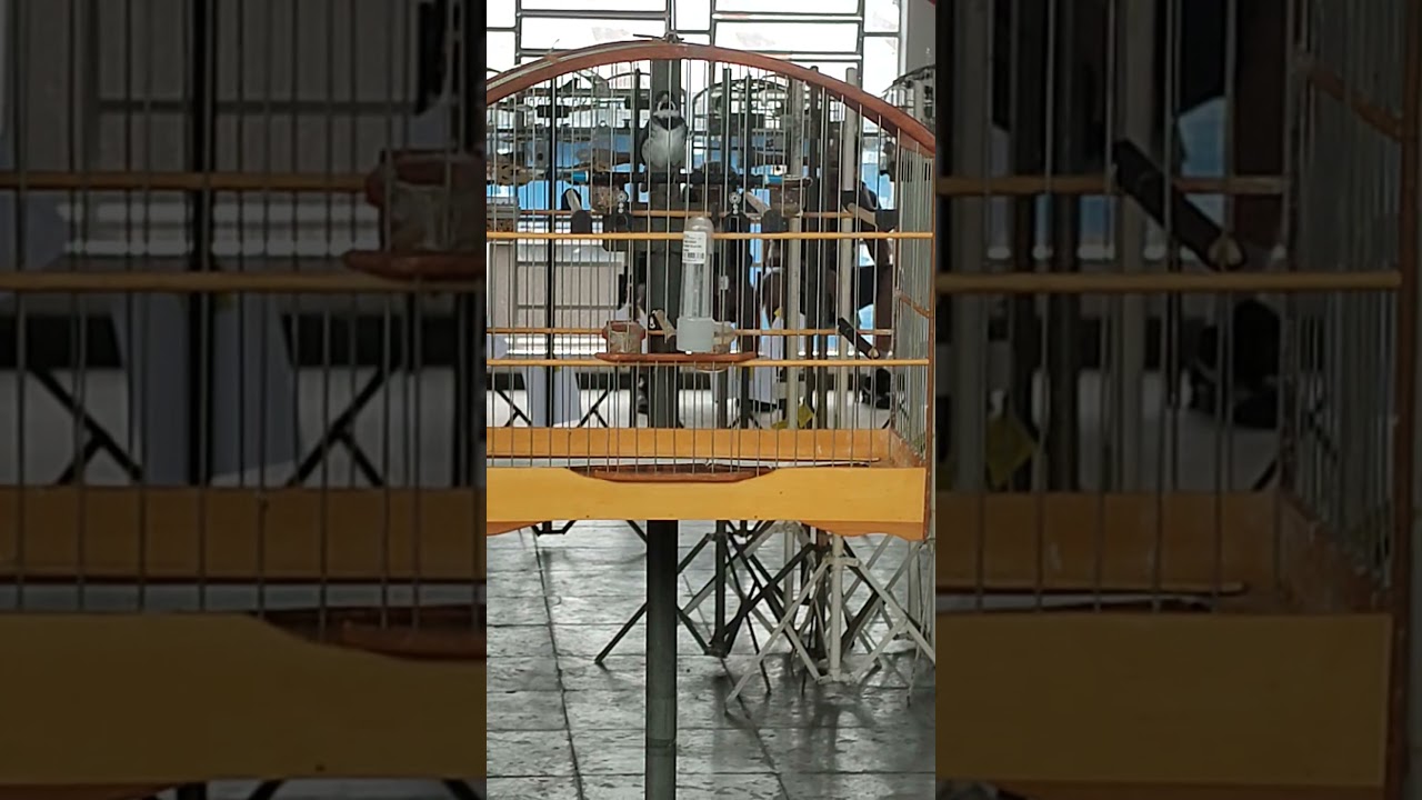 24 de janeiro de 2026