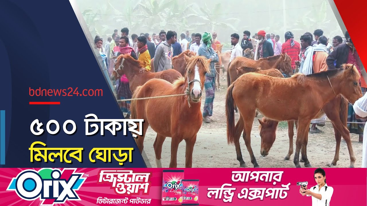 দেশের সবচেয়ে প্রাচীন ঘোড়ার হাট বসছে এখনো | Horse Market | @bdnews24