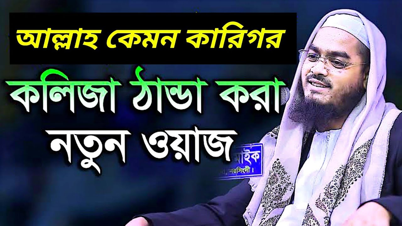আল্লাহ কেমন কারিগর কলিজা জুড়ানো ওয়াজ // মাওঃ হাফিজুর রহমান সিদ্দিকী Maulana Hafizur Rahman Siddiki 
