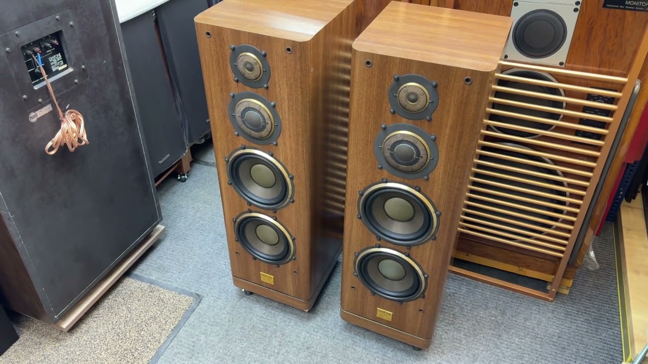 Акустика Diatone DS-1000C Grandia