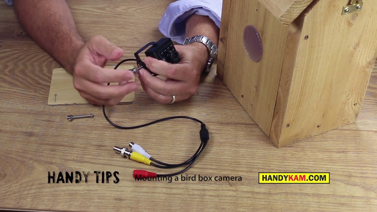 Mounting a bird box camera - handy tips