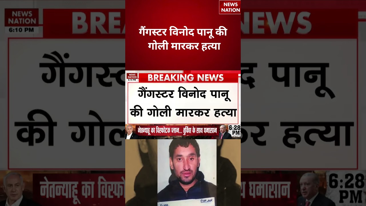 Gangster Vinod Panu Murder: गैंगस्टर विनोद पानू की गोली मारकर हत्या #breakingnews