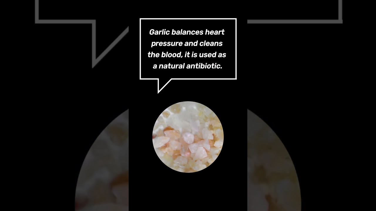 Garlic under microscope🔬🧄👨&zwj;🍳#microscope #microworld #cooking #education