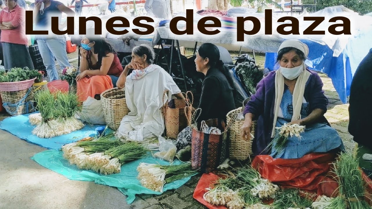 LUNES DE PLAZA EN VILLA ALTA 2019