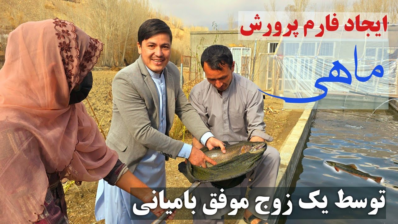 ابتکار فارم پرورش ماهی خالدار، توسط یک زوج موفق بامیانی