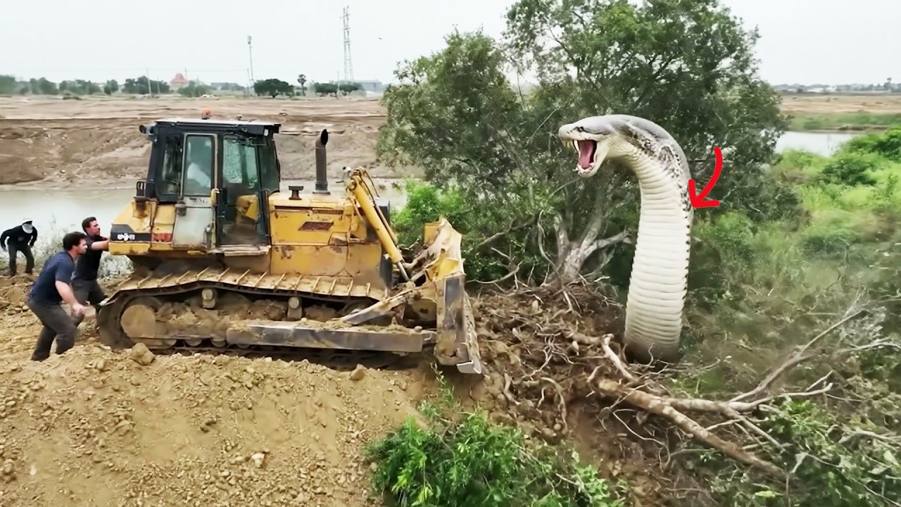OMG! Big Mistake massive land filling project, dump truck unloading dirt, bulldozer pushing dirt