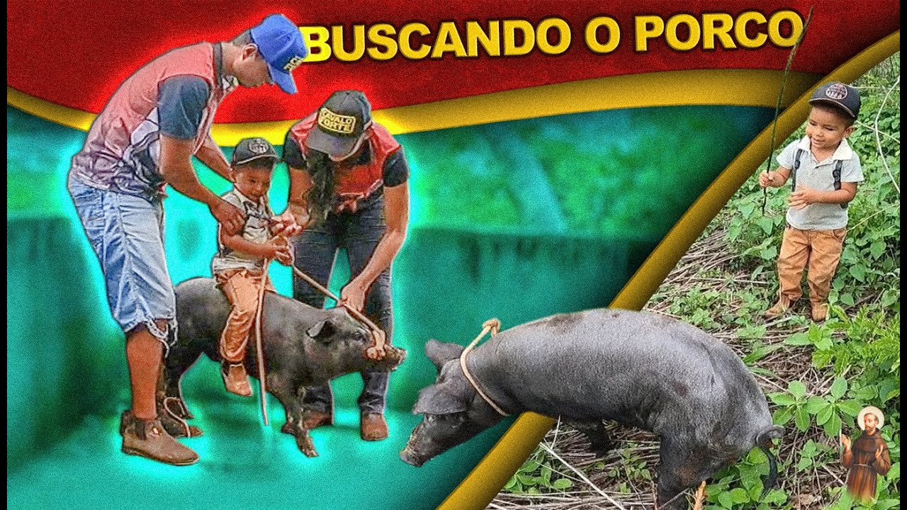 Buscando o Porco para Fazenda
