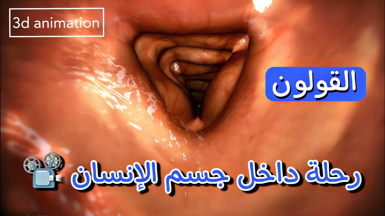 كيف يحول جسمك الطعام الي فضلات 💩 | وبيستغرق قد ايه⏰؟؟ وليه رائحة الفضلات كريهه💨 ؟؟