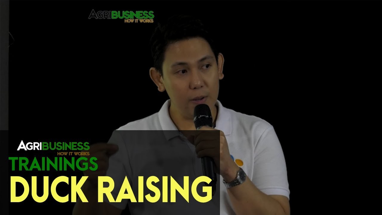 Duck Raising Seminar: How to Earn and Succeed in Duck Raising by CJ Philippines