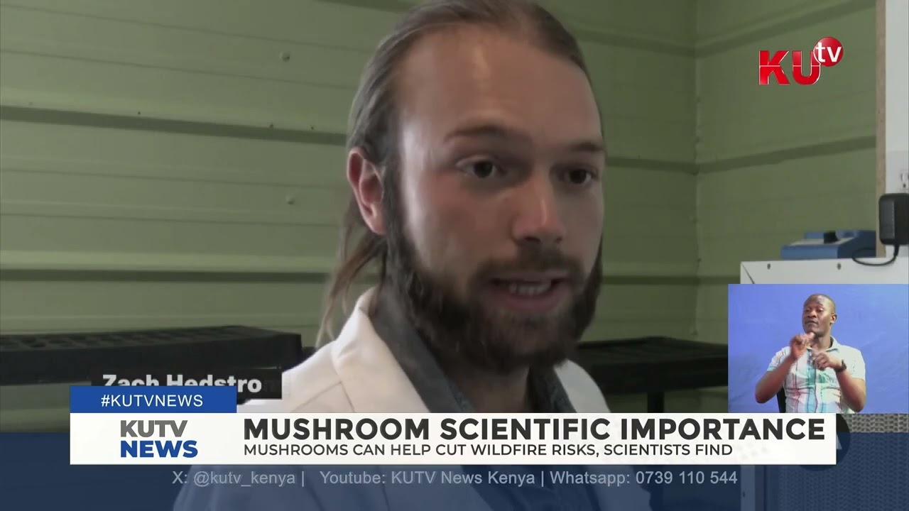 Scientific importance of mushroom