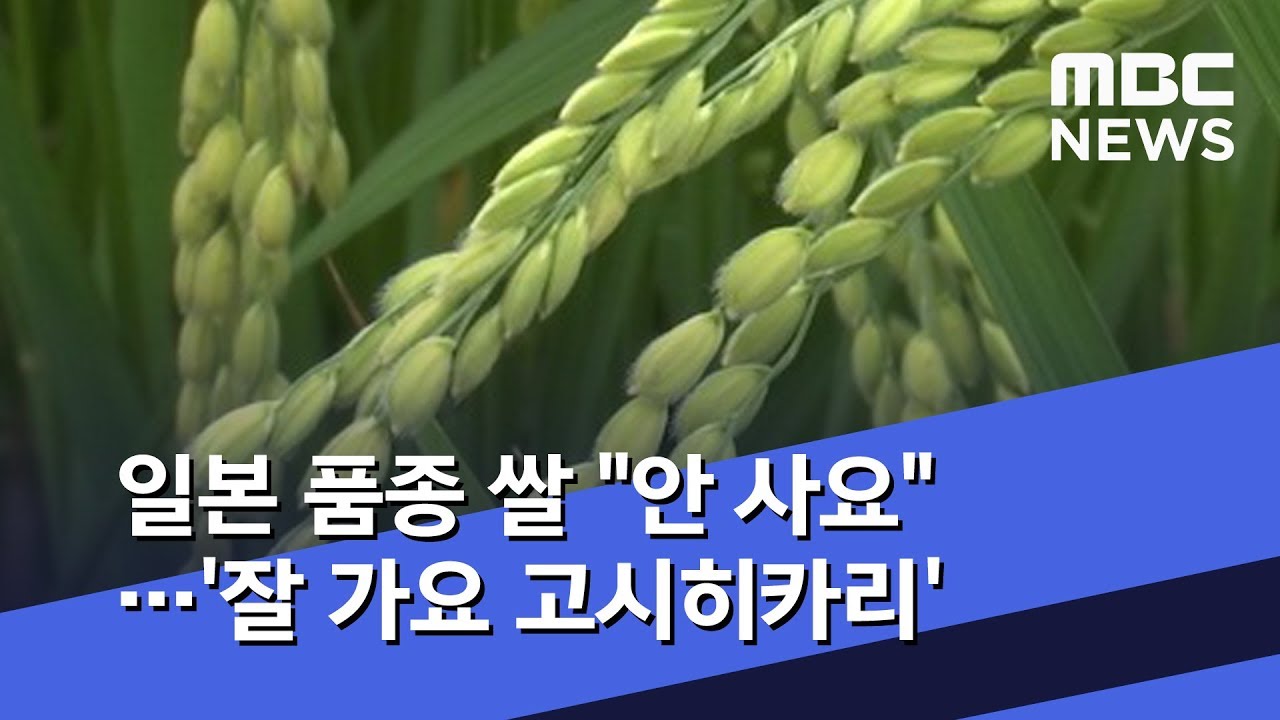 일본 품종 쌀 